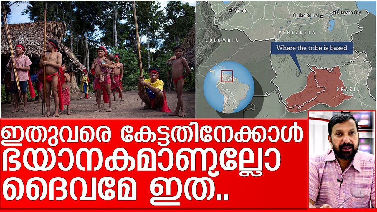 ഭയന്ന് വിറയ്‌ക്കേണ്ട രണ്ട് വാര്‍ത്തകള്‍.. I amozon forest