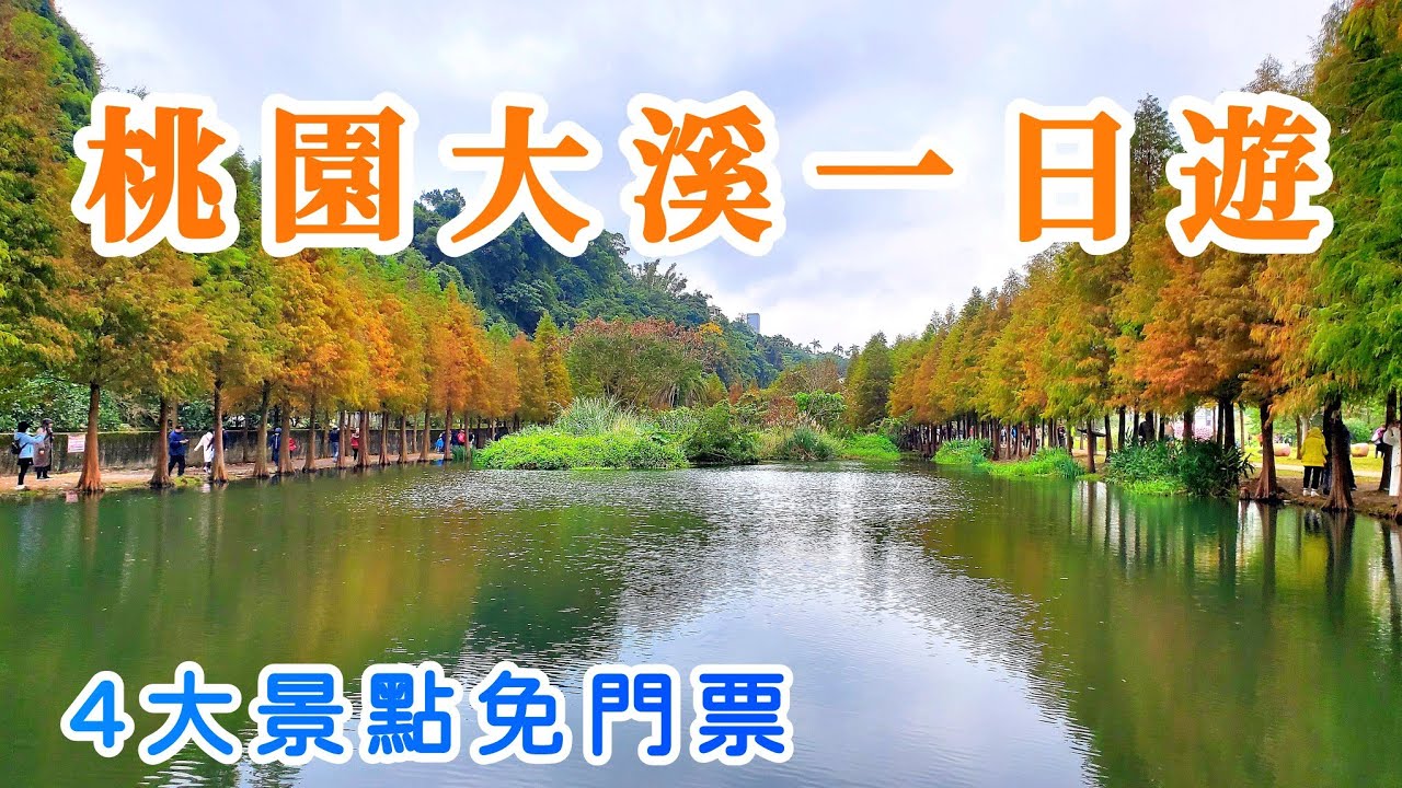 【桃園一日遊】 落羽松的季節來啦! 一日4景點全部免費，適合全家大小出遊，桃園一日遊推薦👍