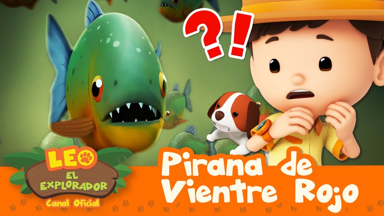 Monstruos Marinos?! 🐟 Pirañas, Tiburones y Más 🐟 | 30 MIN | Leo, El Explorador | Animación Niños