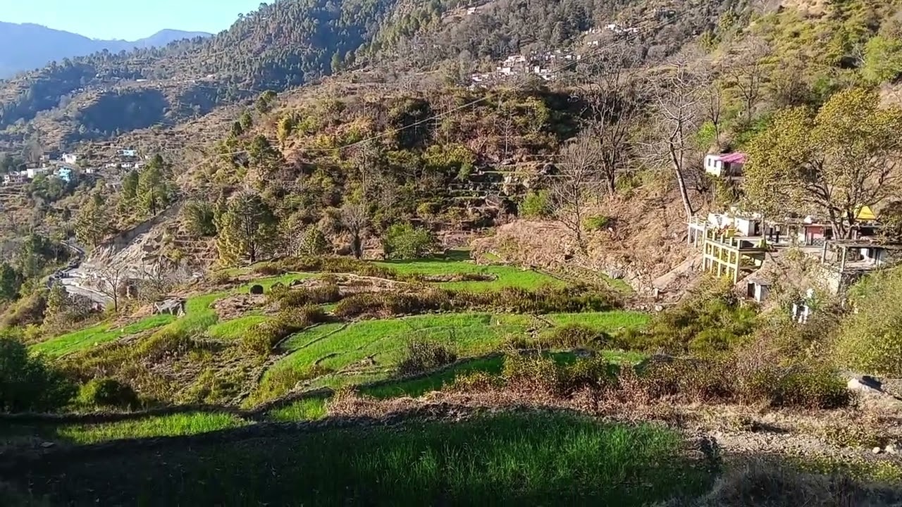 अपने गांव में अपने खेत खलिहान को देखते हुए व खेत खलिहान का आनंद लेते हुए 🙏
