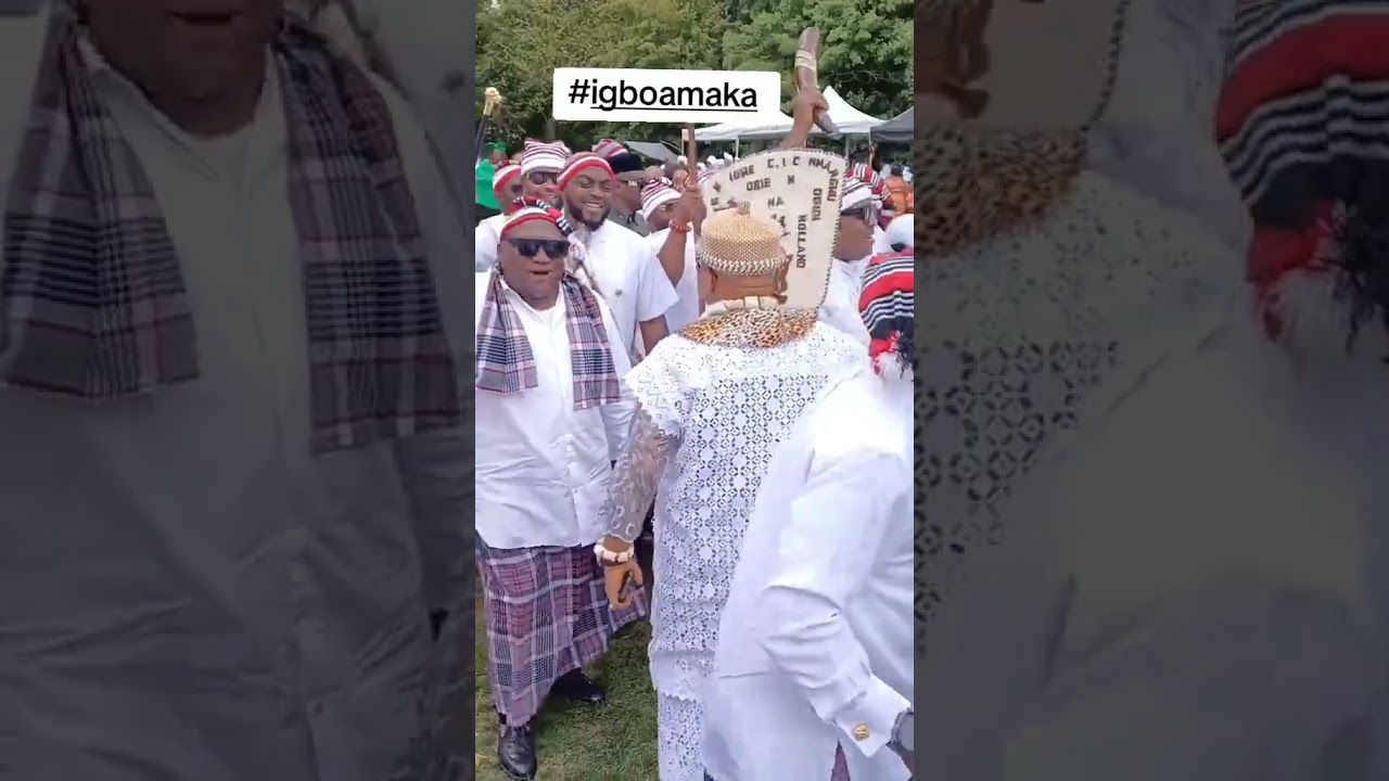 💥Igbo Day Celebration in Amsterdam. #fypシ #igbo