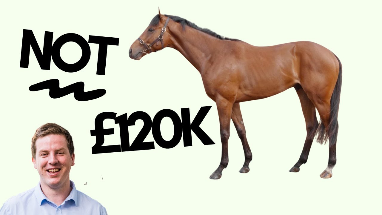 £120K A Horse? Not My One!