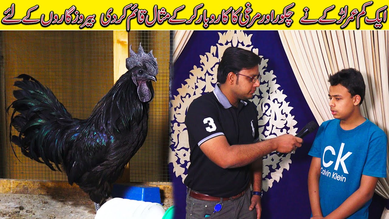 Fancy hen and Chukar Partridge Setup | ایک کم عمرلڑکے کی کامیاب کاروبا جسے دیکھ کرآپ بھی حیران ہونگے