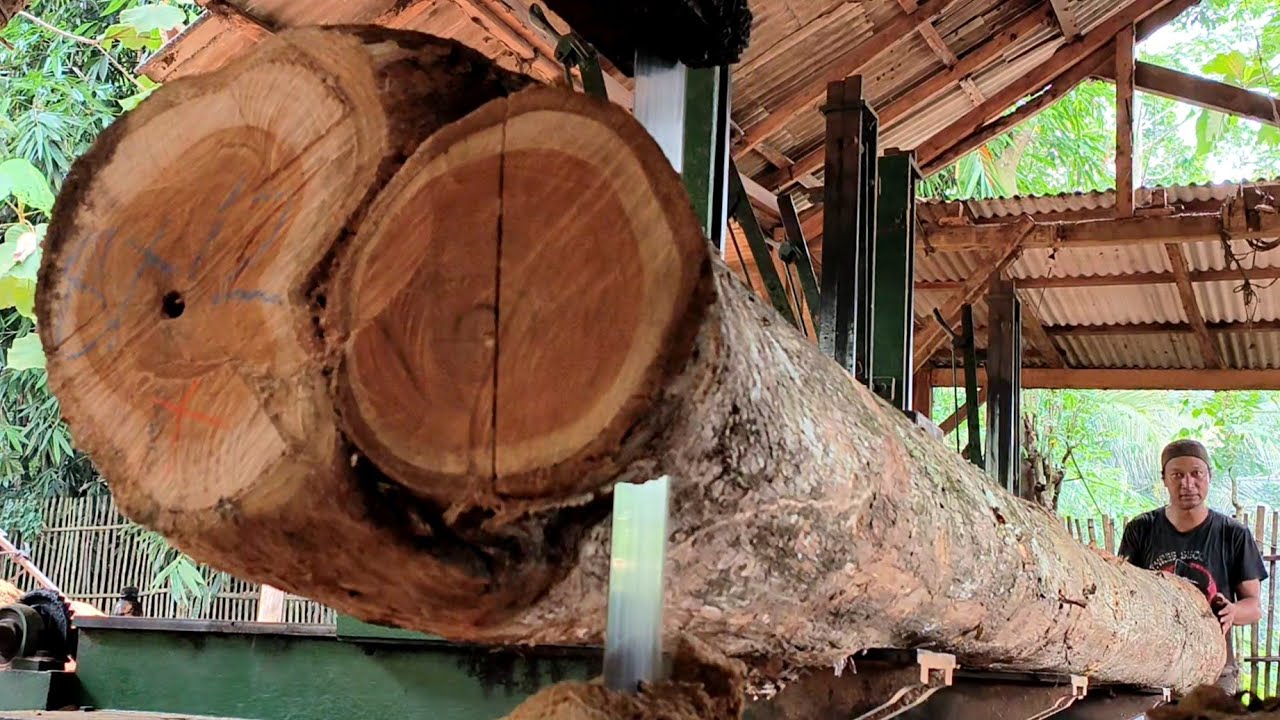 Two big wooden branches!! Most amazing thing about sawing a 90 foot long teak log | Sawmill