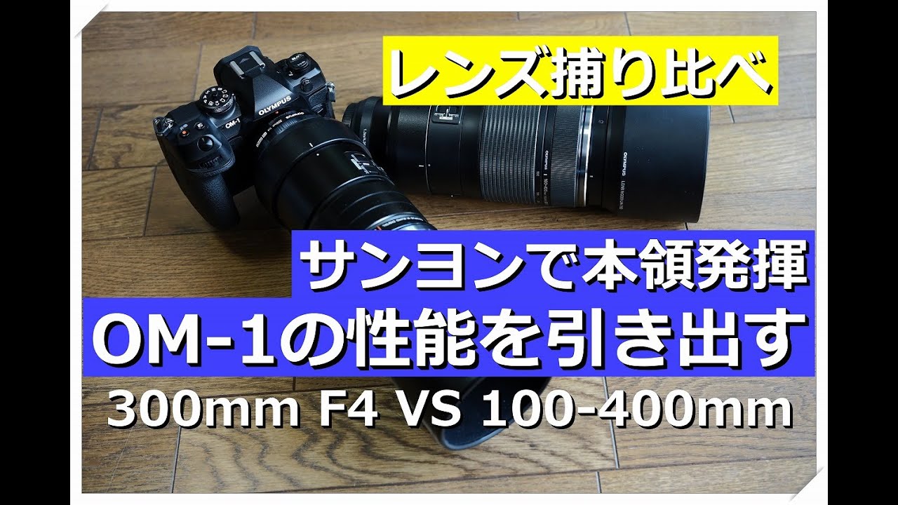 OM-1 本領発揮！ サンヨン で野鳥撮ってみたら 驚いた。