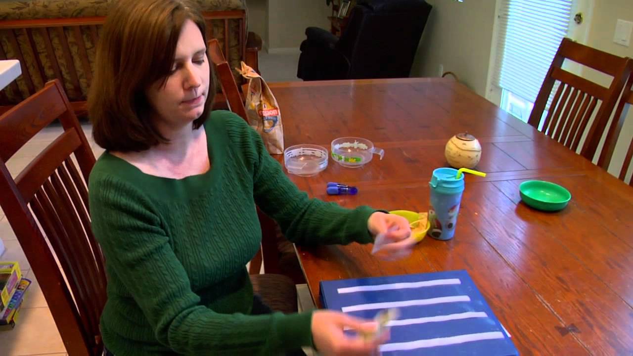 Autism: Myths That Hide the Truth