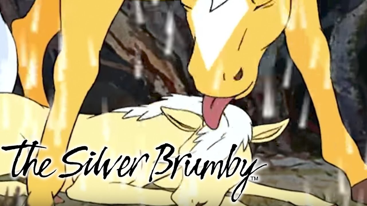 The Silver Brumby - Friends of the High Country (HD - Full Episode)