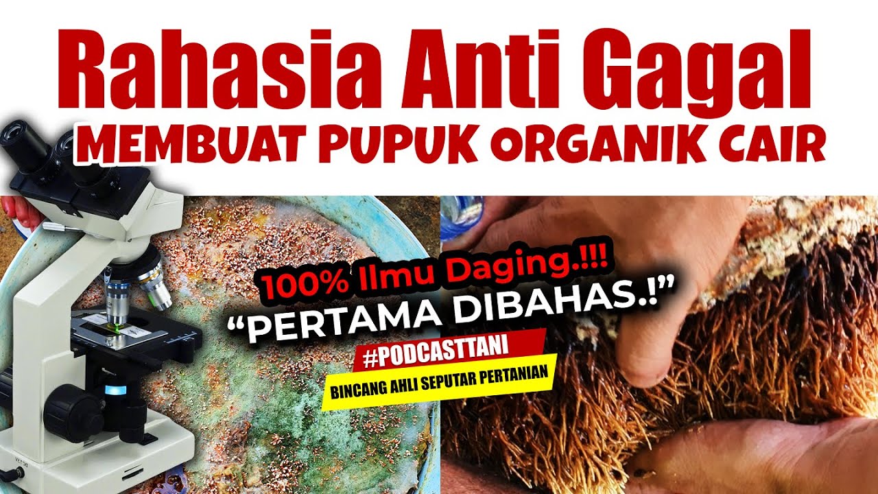 100% ILMU DAGING.! RAHASIA ANTI GAGAL MEMBUAT PUPUK ORGANIK CAIR | Agar Tanaman Subur, Sehat & Lebat
