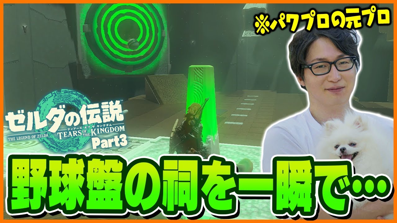 野球盤の祠を一瞬でクリアするパワプロの元プロたいじのゼルダの伝説ティアーズオブザキングダム ダイジェスト版③
