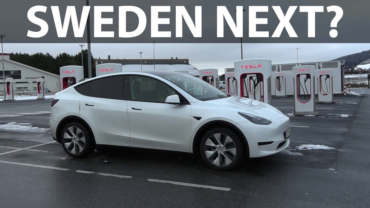 Tesla Model Y RWD с аккумулятором BYD Blade: испытание на 1000 км