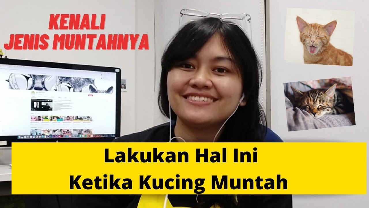 LAKUKAN HAL INI BILA KUCING MUNTAH | MY CATS DIARY