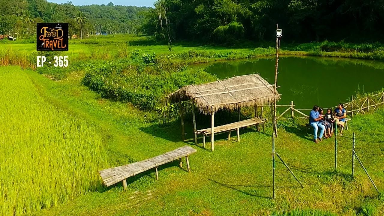 വയനാട്ടിൽ പോയി വയലിൽ താമസിക്കാം | Vayal Veedu Wayanad Resort  Near Muthanga Wildlife Sanctuary