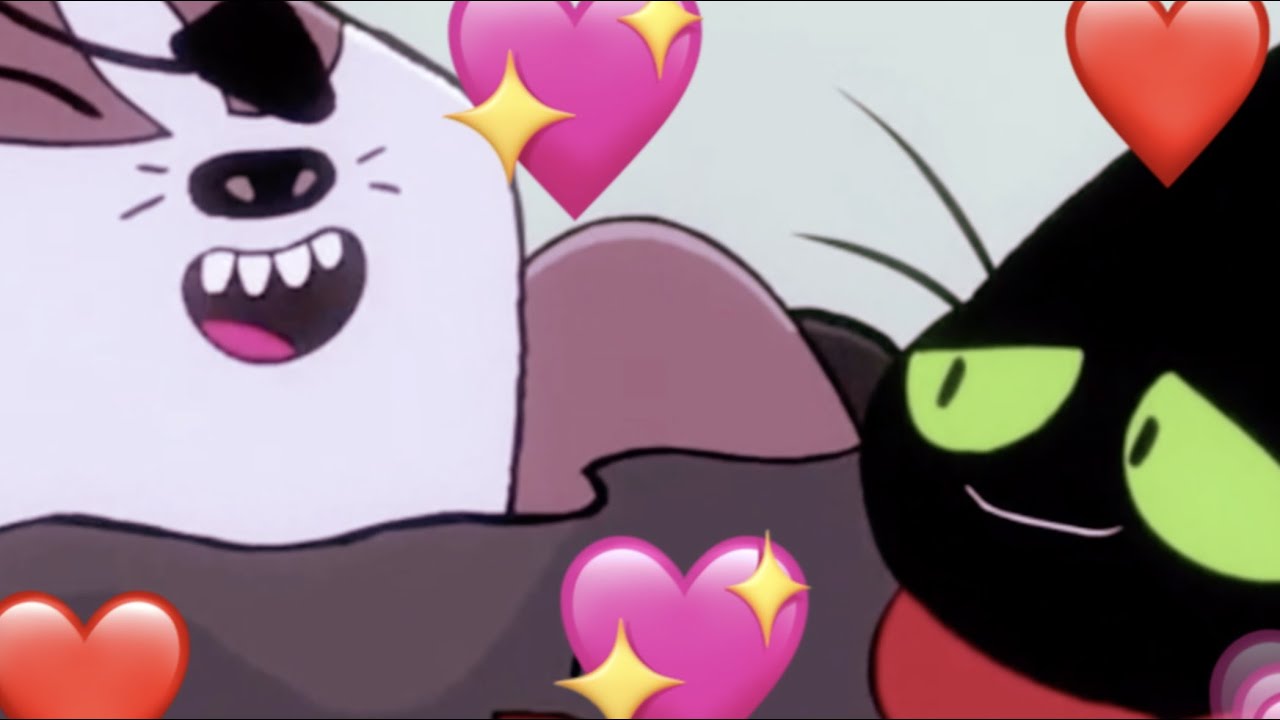 Badgerclops x Mao Mao Compliation (Badgermao)
