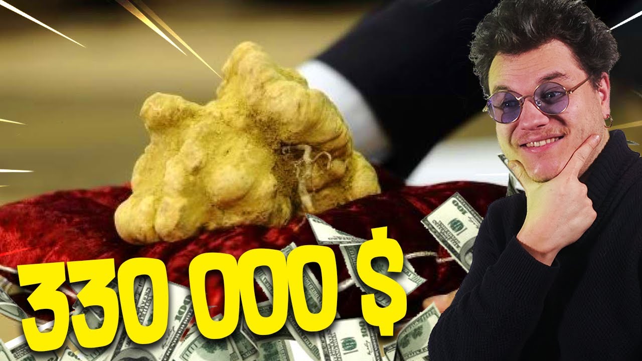 Les Caprices de Riches Les Plus Insolites !