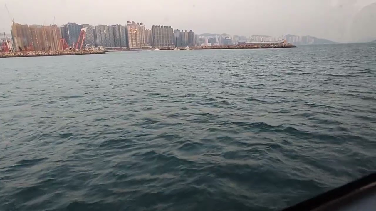 新渡輪 新明珠39-九龍城往北角《我上完小組一搭船就電船？！完了運氣全沒了☠️☠️☠️》