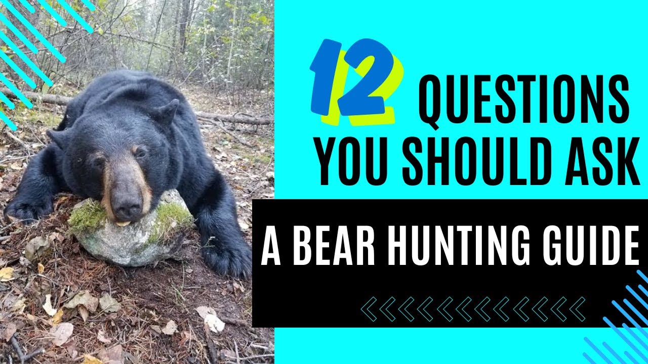 12 questions you should ask a bear hunting guide/outfitter