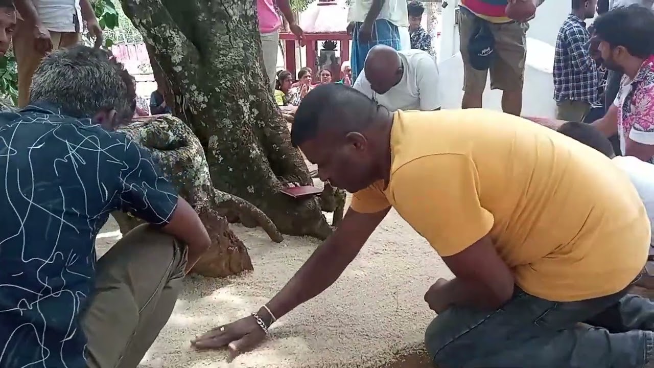 ජීවිතයට මෙහෙම නම් වැලි අතුරනවා දැක තිබුණේ නෑ......