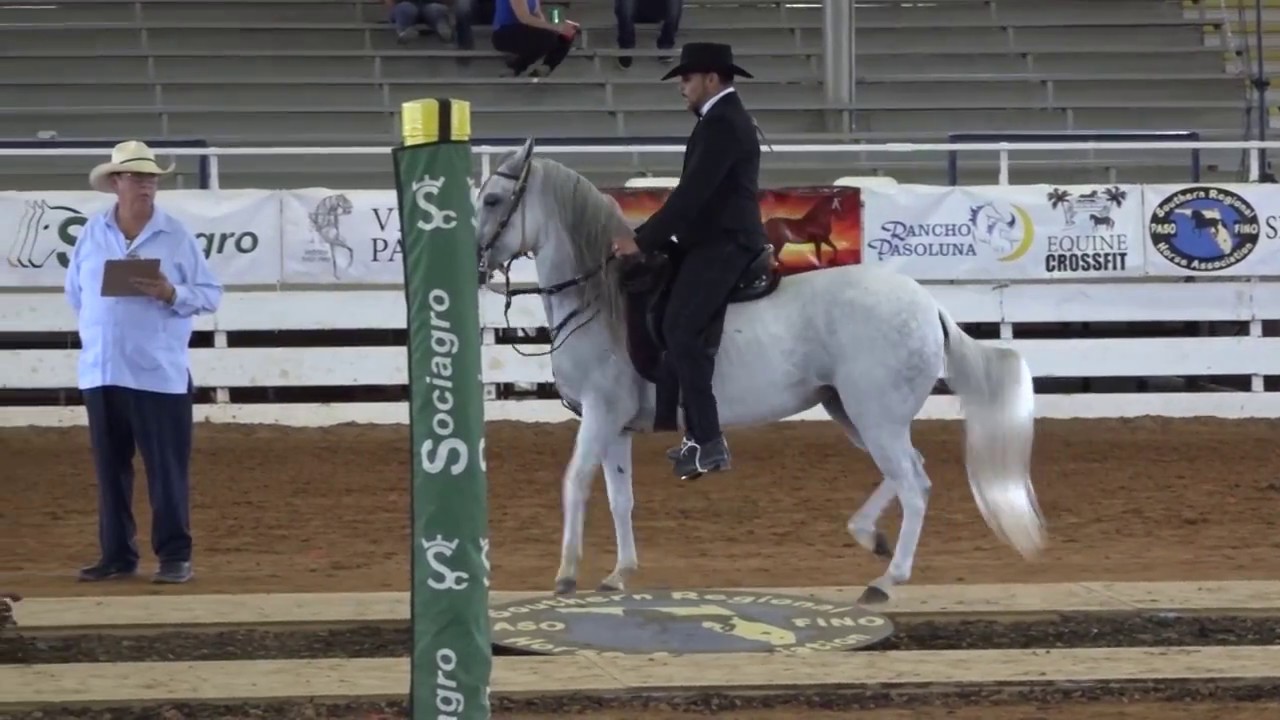 2017 SRPFHA Extravaganza Fino Mare Filly Championship