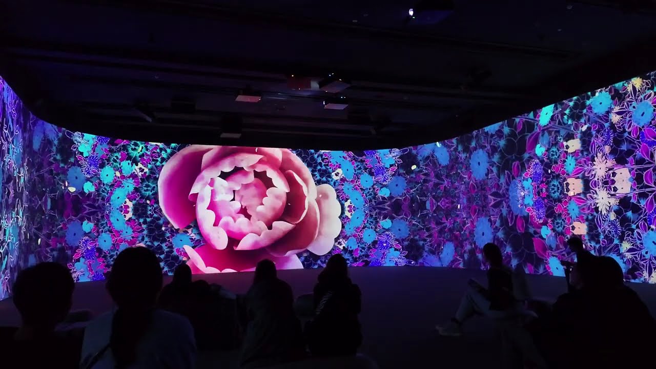 National Museum of Korea - Royal Procession #seoulmysoul #서울마이소울 #seoultravelguide
