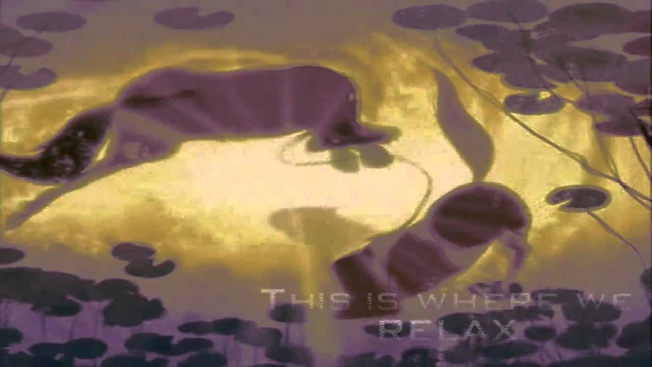 This is where...