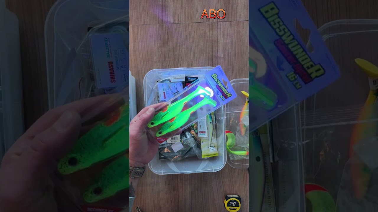 Tackle Deals Ü-Box Zander Barsch und Hecht kann man machen aber ...