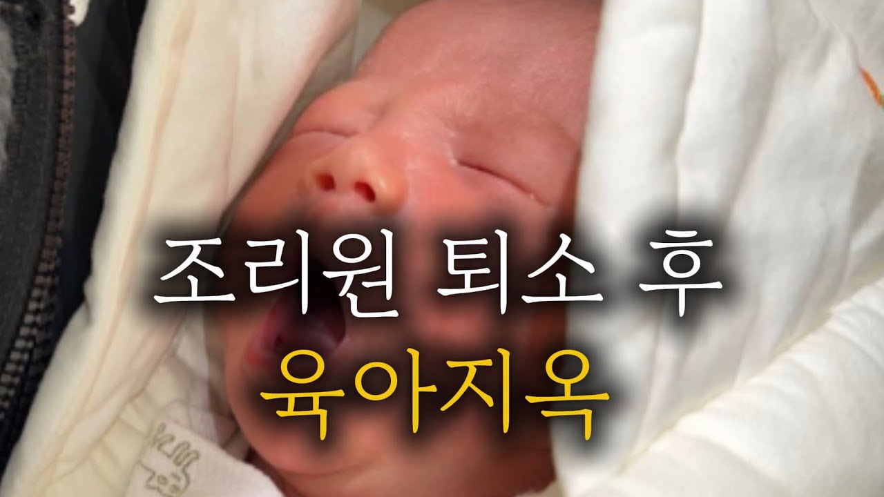 산후조리원 퇴소하면 생기는 일