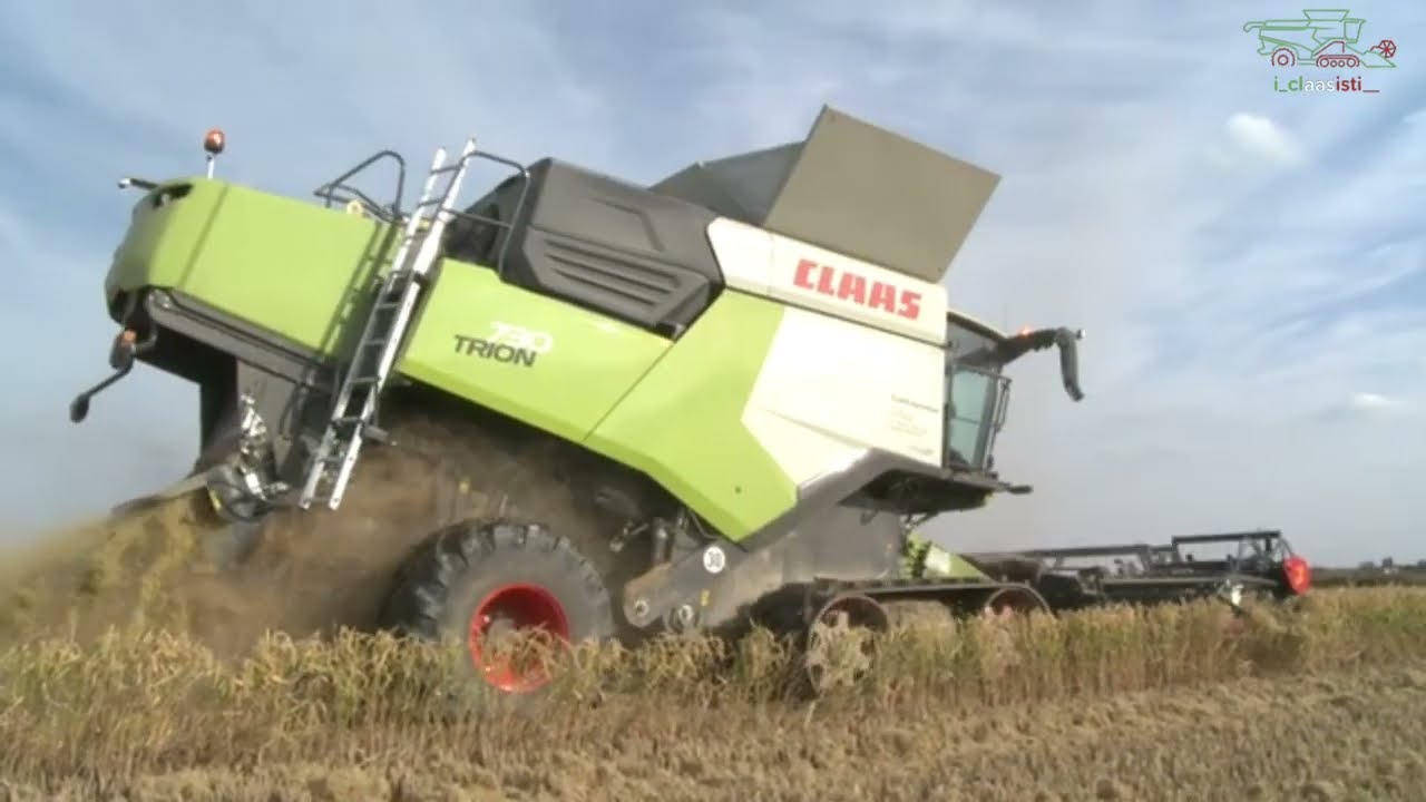 new claas trion 730 ttr + capello evo trebbiatura riso  2025 