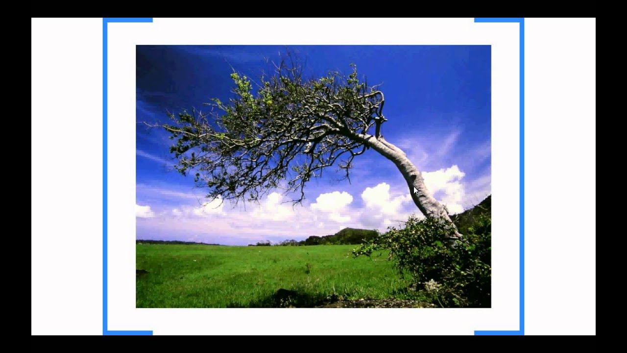 高一上 L.7 風系與氣候分類 part.7 地方風系 落山風與九降風