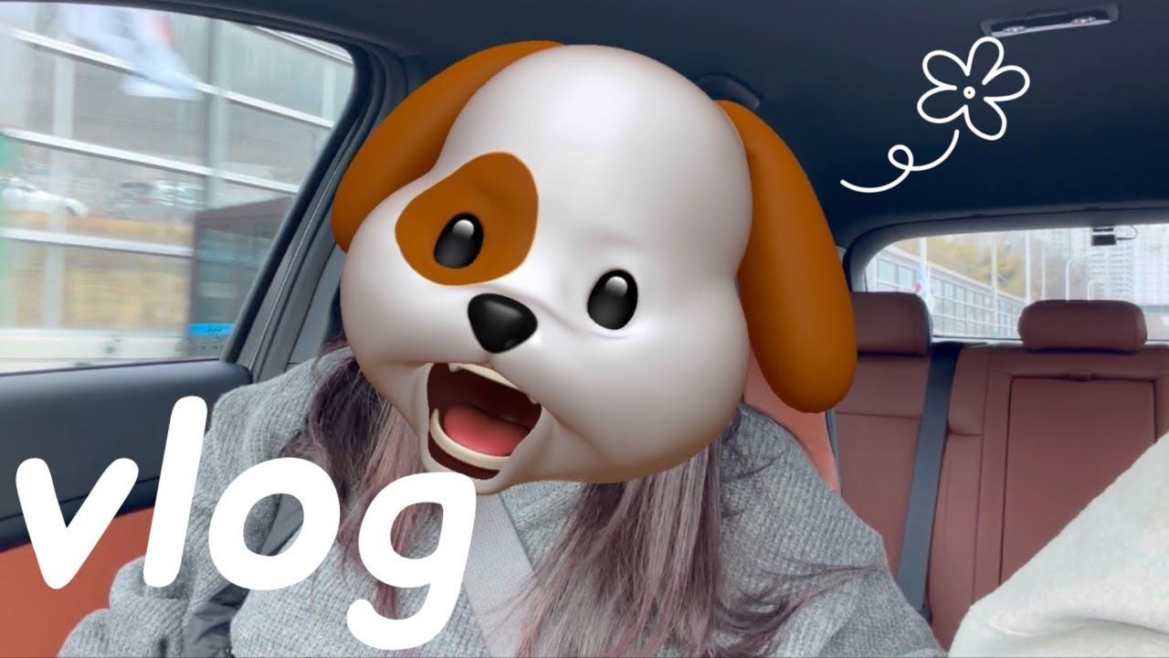 휴일이면 도파민찾기바쁜 직장인일상🎡 / 냉장고털어먹기, 눈보고 신난 나❄️, 셀프염색, 왕과 사는 남자🤴🏻, 아침운동+서브웨이, 홈플러스 행사