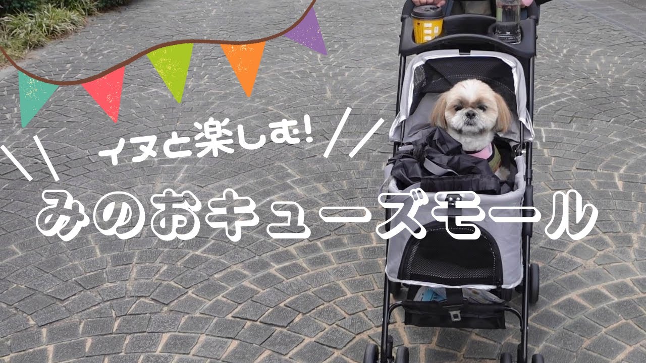 【イヌとおでかけ】みのおキューズモールをイヌと楽しむ！