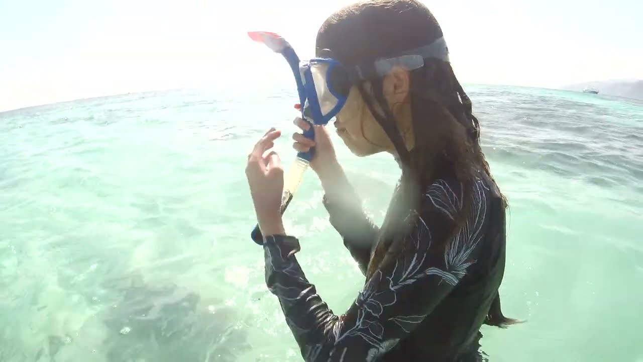 Dahab 30.10.23 кораллы, рыбки