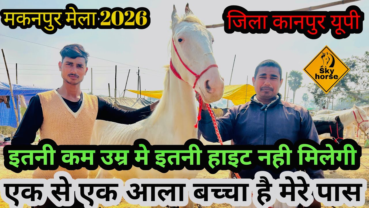 व्यापारी ने कहा आला नसलो के बच्चें हैं मेरे पास | #Makanpurmela2026