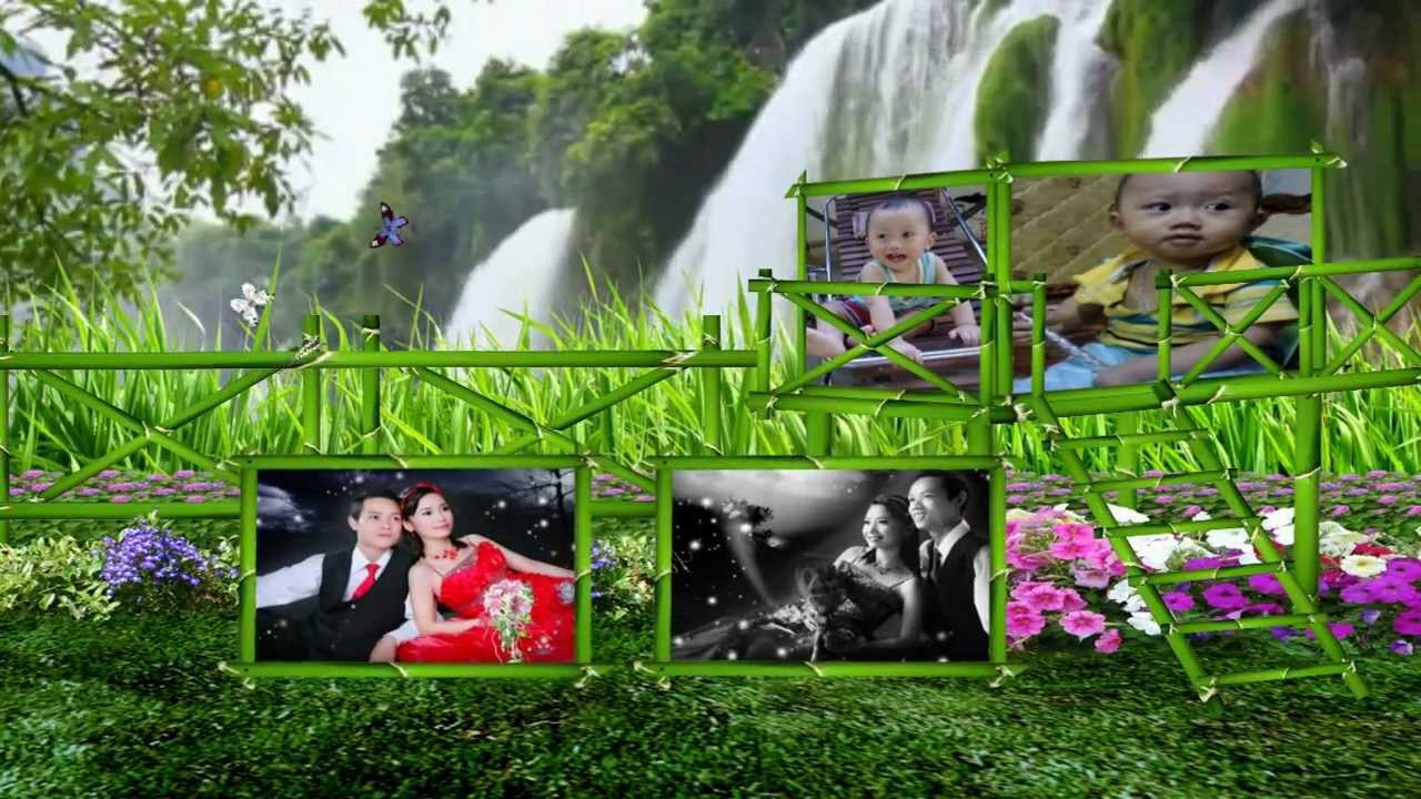 Minh Hon   Mai Le