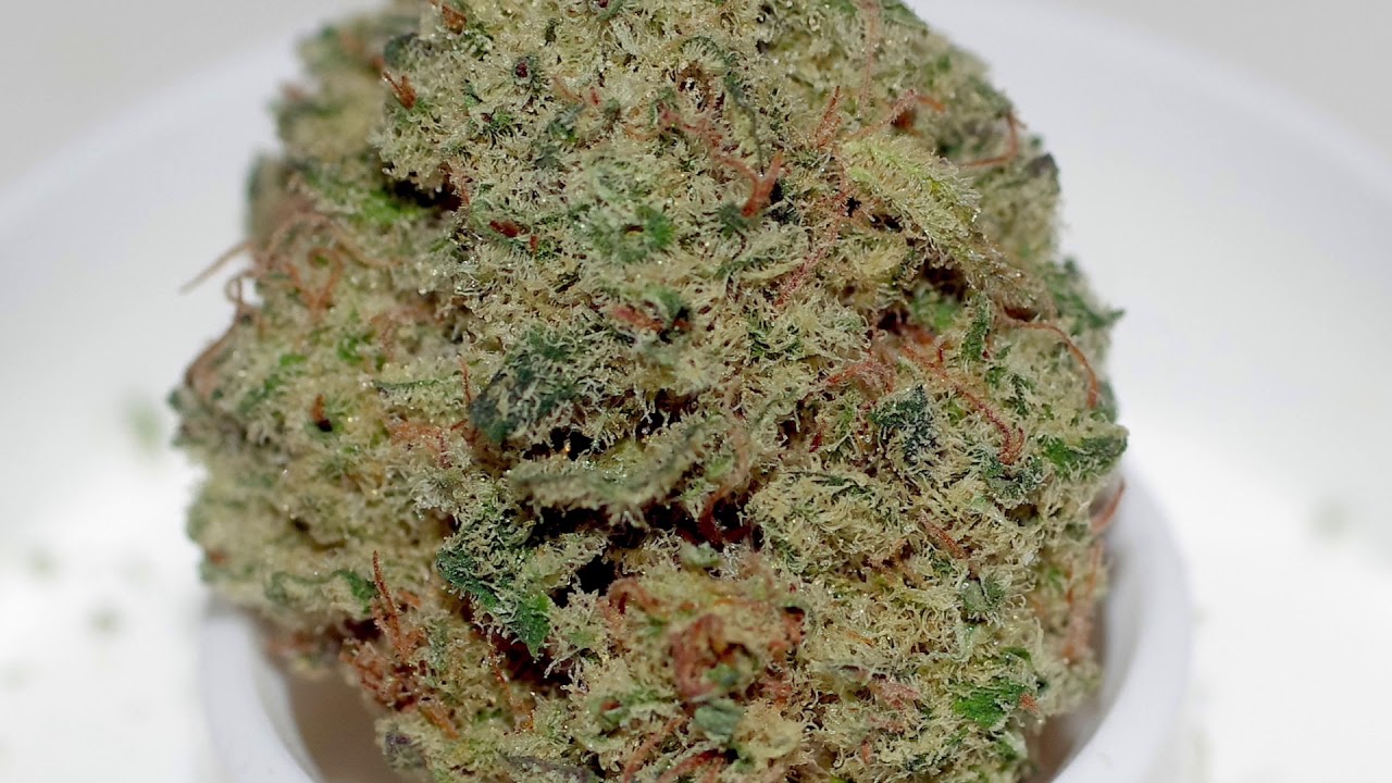 Kentucky Bluegrass By Revolution