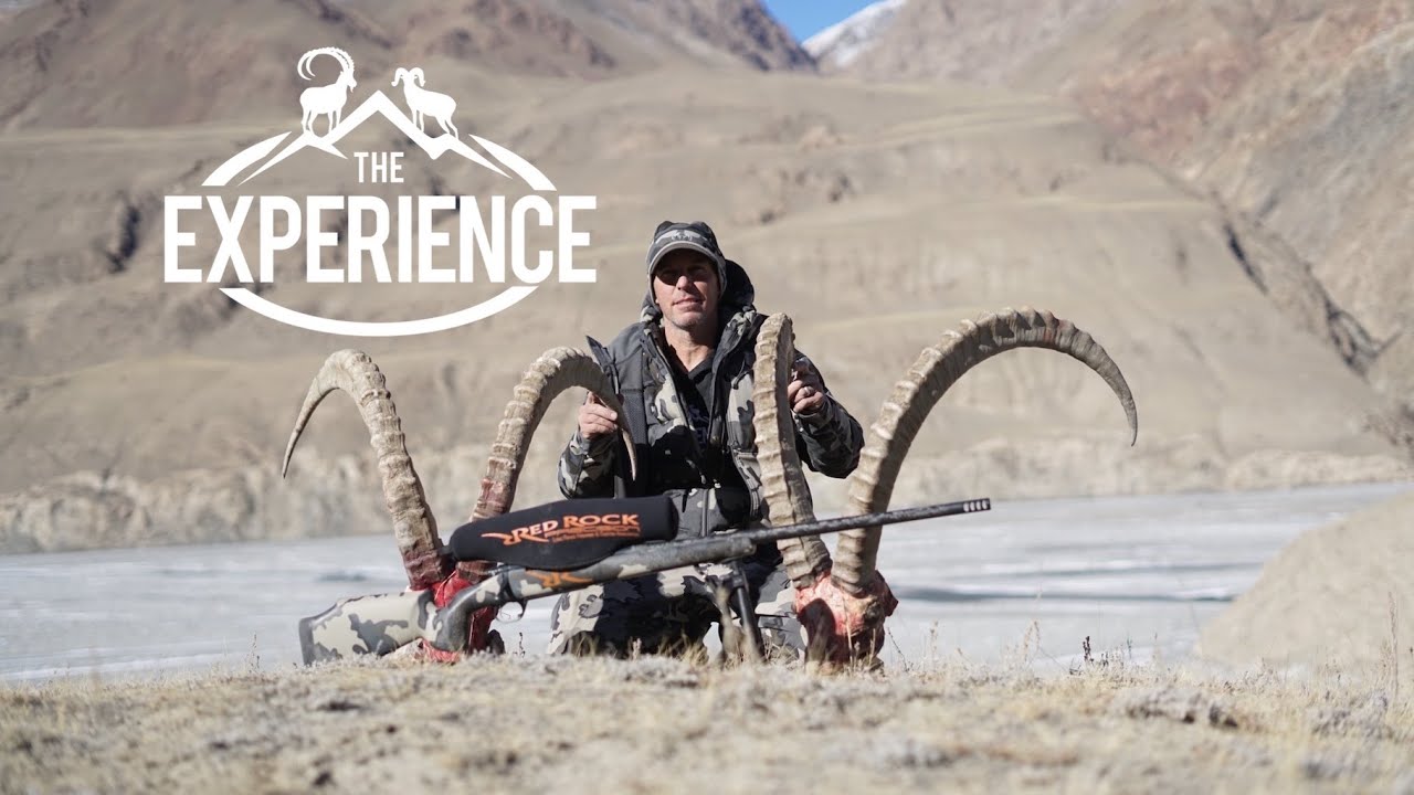 Среднеазиатский козерог — опыт Кыргызстана с Shikar Safaris