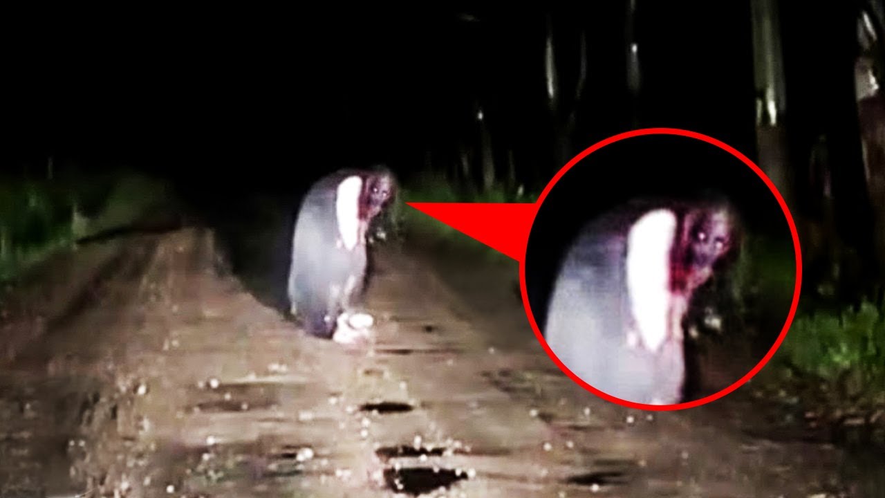 15 Scary Videos That Will Make Your Night Anything but Normal