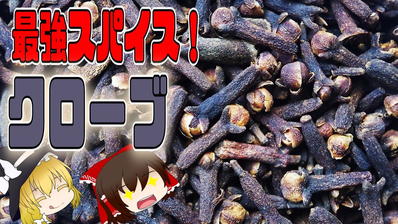 【ゆっくり解説】クローブの健康効果について解説！