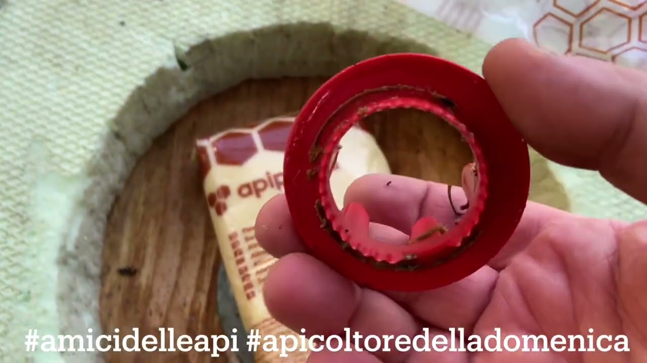 Api e candito, controllare i consumi