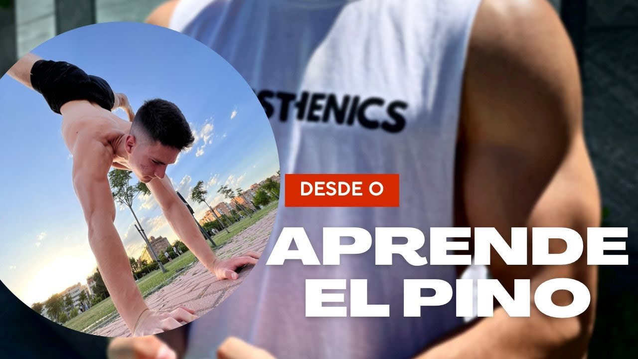 Aprende el PINO desde 0