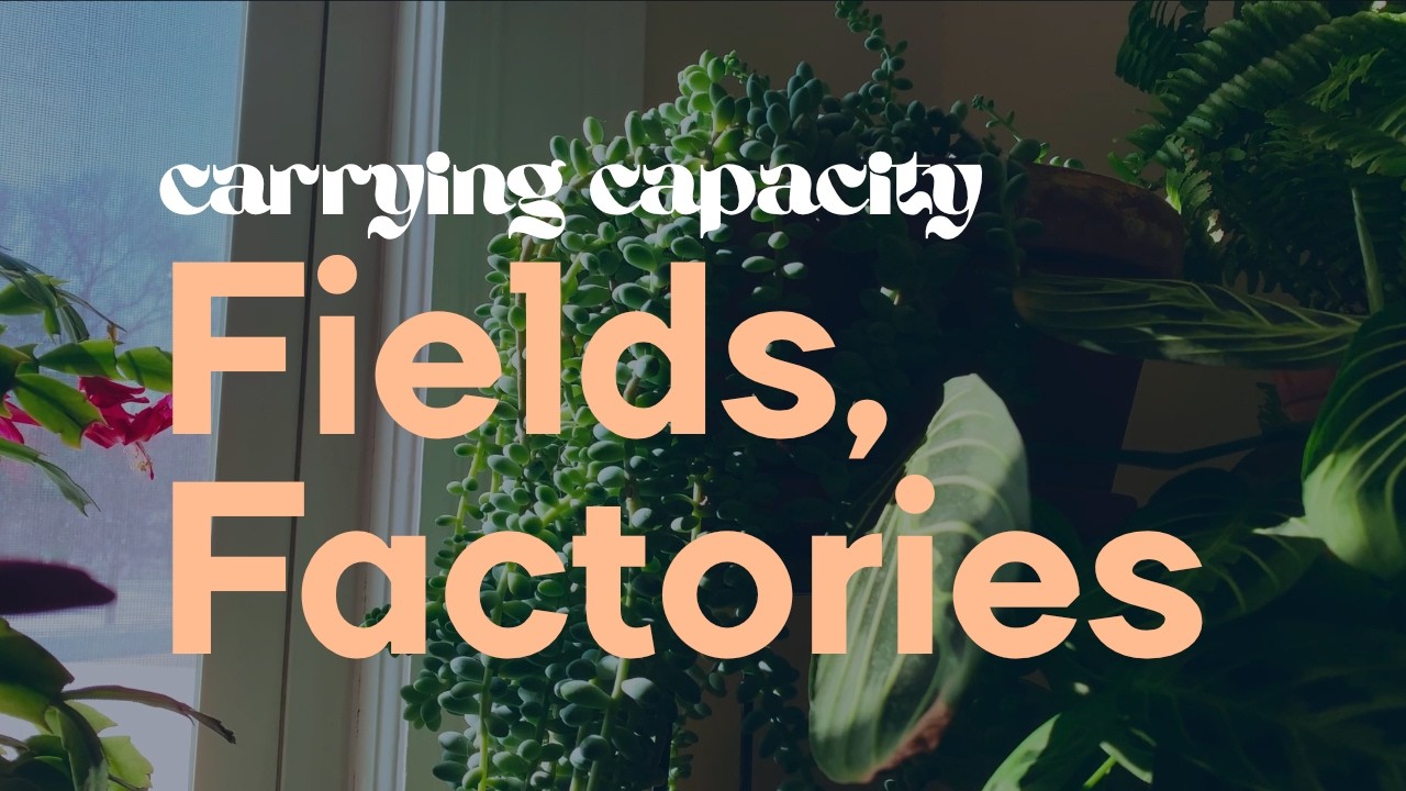 Fields, Factories — Ambient improv with Pittsburgh Modular Voltage Lab 2 and Whimsical Raps Atrium