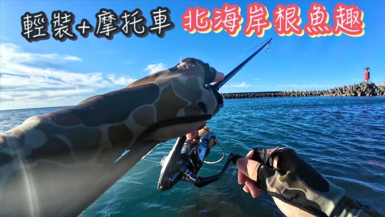 2025初秋騎機車到北海岸燃燒根魚魂，潮間帶魚多到一直撞我腳!!#麥克筆的魚花#石門漁港#根魚#軟蟲