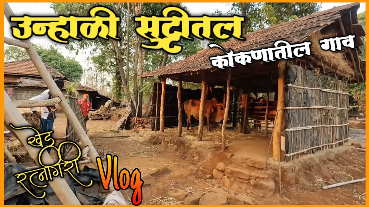 कोकणी गाव उन्हाळी सुट्टी Konkan Village Life #Konkan_Vlog कोकणातील गावच राहणीमान / रत्नागिरी-खेडVlog