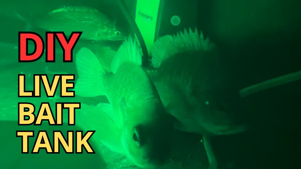 Cheap DIY LIVE BAIT TANK with Bucket Filter
