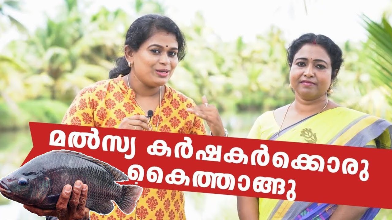 മൽസ്യ കർഷകർക്കു ഒരു കൈത്താങ്ങ്  II Ponnus Aqua Clinic