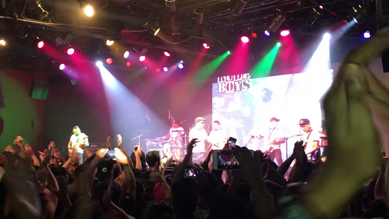 Rude Boys en LUNARIO 2019 “Bone Heads No - Si Pancho - Justicia para el País - Nuestro Infierno”