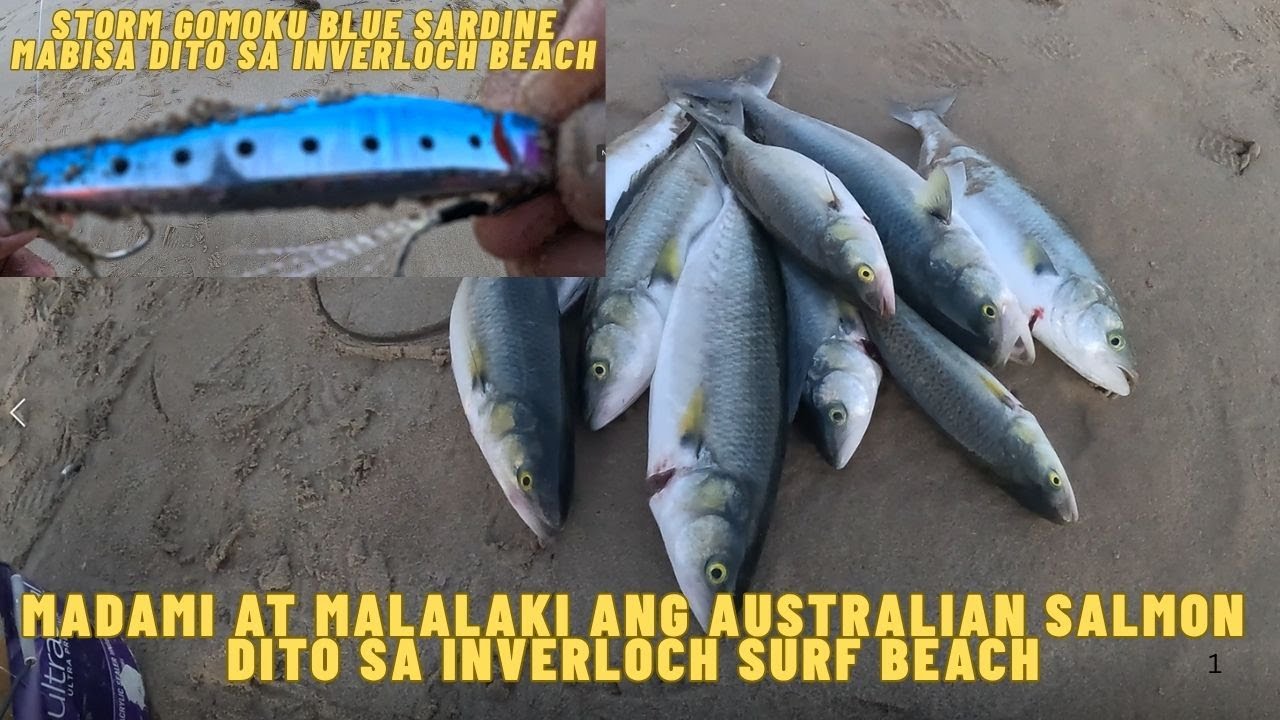 FISHING TRIP AT INVERLOCH SURF BEACH