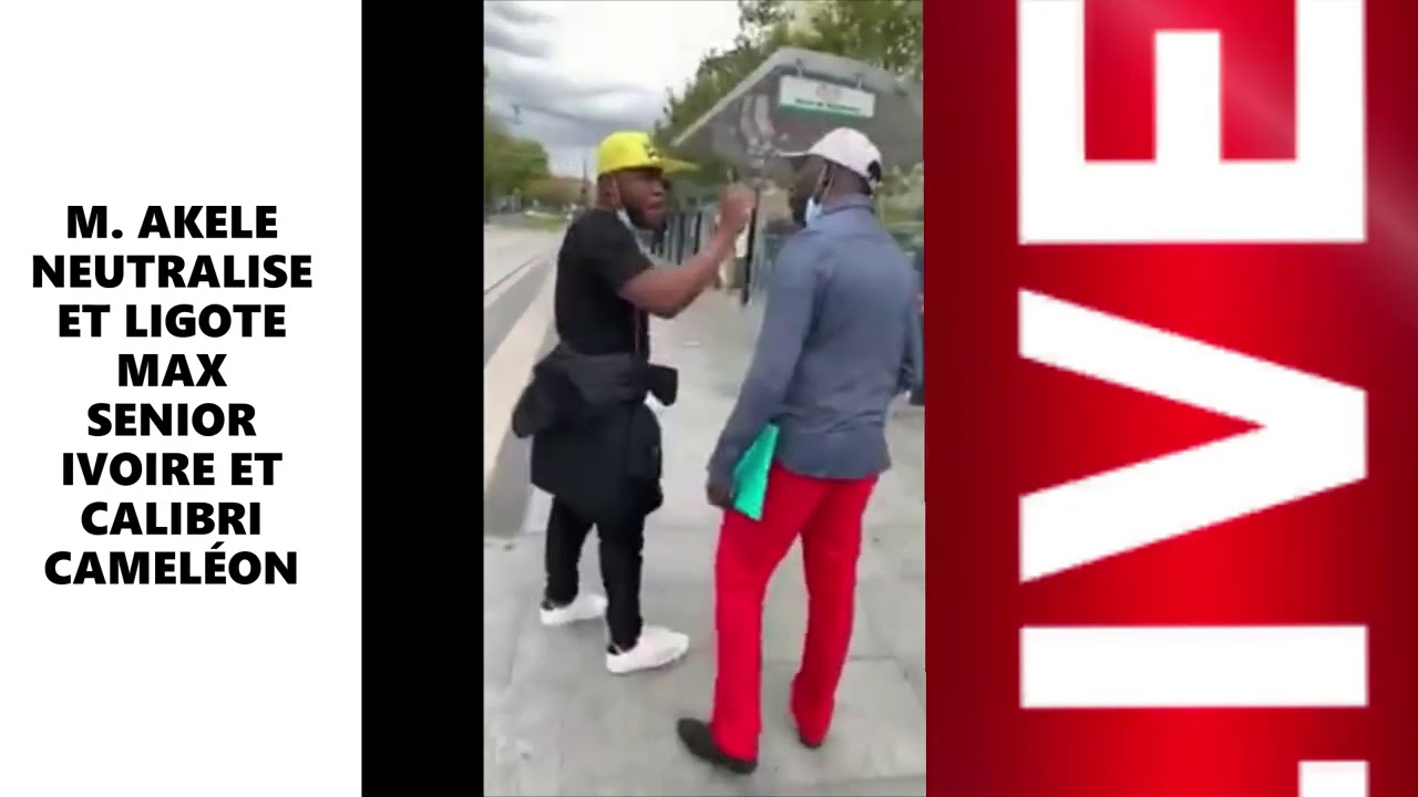 BILLY AKELE NEUTRALISE ET LIGOTE MAX ET CALIBRI CALIBRO - &Eacute;pervier Universel