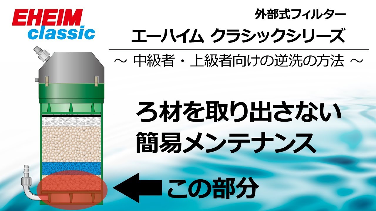 【EHEIM】 クラシックシリーズ　逆洗の方法　～ろ材を取り出さない簡易メンテナンス～　エーハイム
