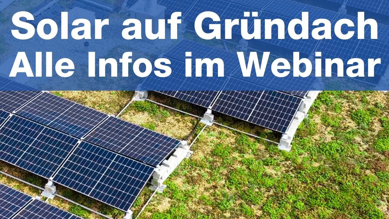 Solaranlage auf Gründach installieren: Fehler vermeiden und Erträge maximieren