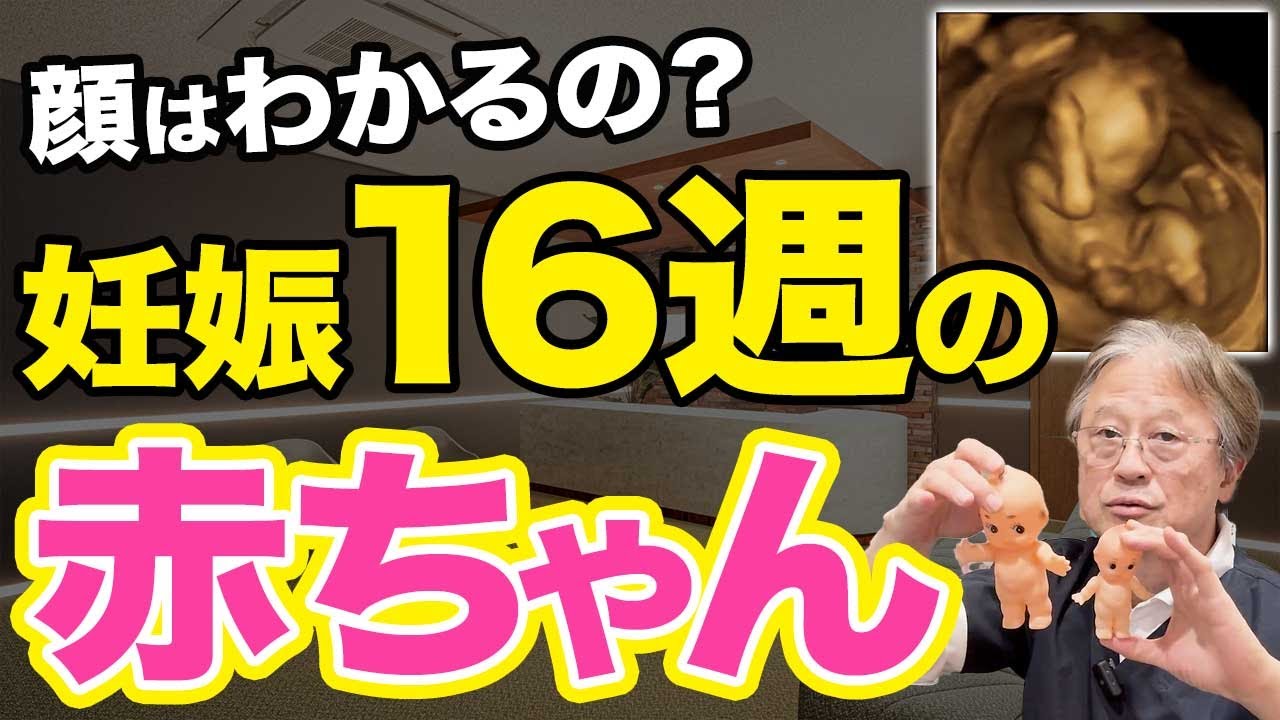 【妊娠16週】胎動を感じるのはいつ？お腹の赤ちゃんが人間の形になるまでの話